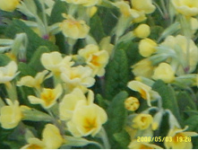 SSL14979.JPG