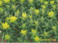 SSL14981.JPG