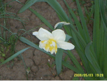 SSL14982.JPG