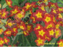 SSL14983.JPG