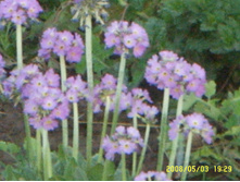 SSL14984.JPG