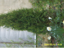 SSL14985.JPG