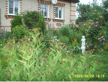 SSL16094.JPG