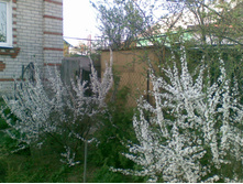 ����040.jpg