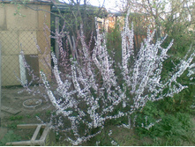 ����041.jpg