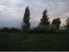 25.05.2009 23:58:04