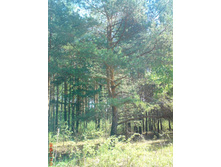 2012 033.jpg