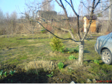 2012 014.jpg