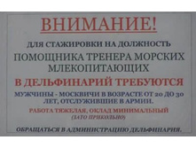 28.05.2009 9:46:18