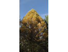 08.10.2010 22:22:45
