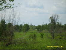 29.05.2009 16:11:54