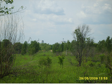 29.05.2009 16:14:33