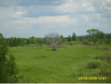 29.05.2009 16:14:06