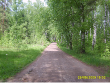 29.05.2009 16:17:42