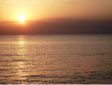 DSCF5244.JPG