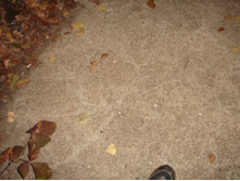 09.10.2010 8:51:43