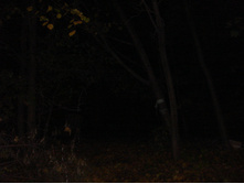 09.10.2010 8:53:15