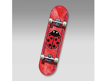 ���������  MAXCITY BUG  �.31*8