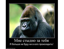09.10.2010 14:57:07