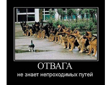 09.10.2010 14:57:09
