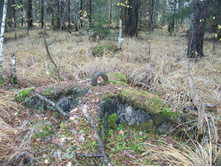 DSCF0690.JPG
