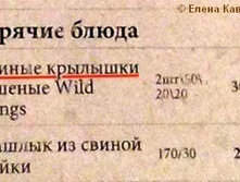 04.06.2009 9:49:38