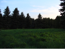 05.06.2009 10:05:23