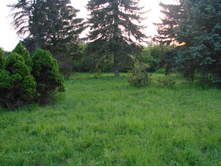 05.06.2009 10:35:01