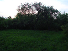 05.06.2009 10:38:17