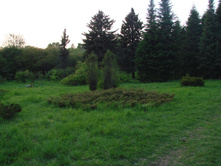 05.06.2009 11:03:03