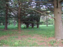 05.06.2009 11:26:07