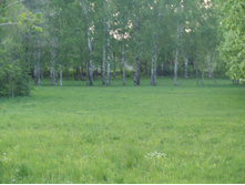 05.06.2009 11:30:44