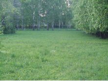 05.06.2009 11:31:55