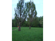 05.06.2009 11:34:26
