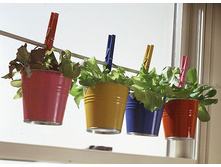 container-gardening-10.jpg