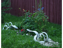 DSC03707.jpg