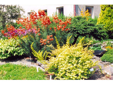 image-10_big.jpg