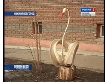 m_37421.jpg