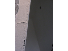 IMG_1018.jpg