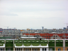 IMG_0689__.jpg