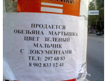 09.06.2009 8:56:55