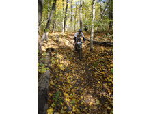 11.10.2010 13:19:39