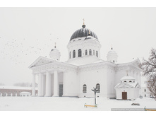 BUL_0777-copy.jpg