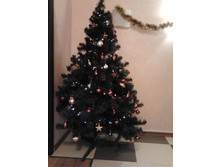 17.12.2011 7:40:34