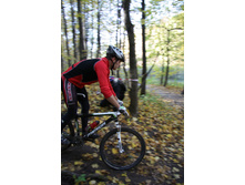 11.10.2010 13:53:38