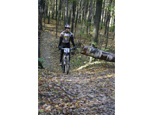 11.10.2010 13:57:46
