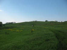 13.06.2009 0:09:32