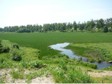 13.06.2009 21:55:47