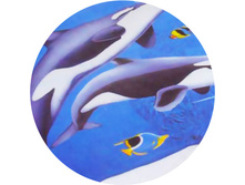 delfin43.jpg