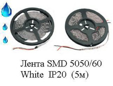 ��*��� SMD 5050/60    White  IP65  (5�)